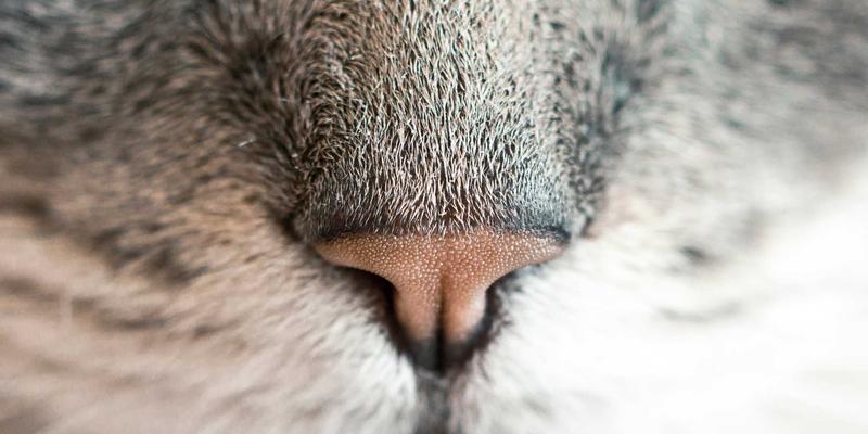 西安便民出行‘微循环’升级：社区巴士、共享单车与步行系统无缝接驳全攻略