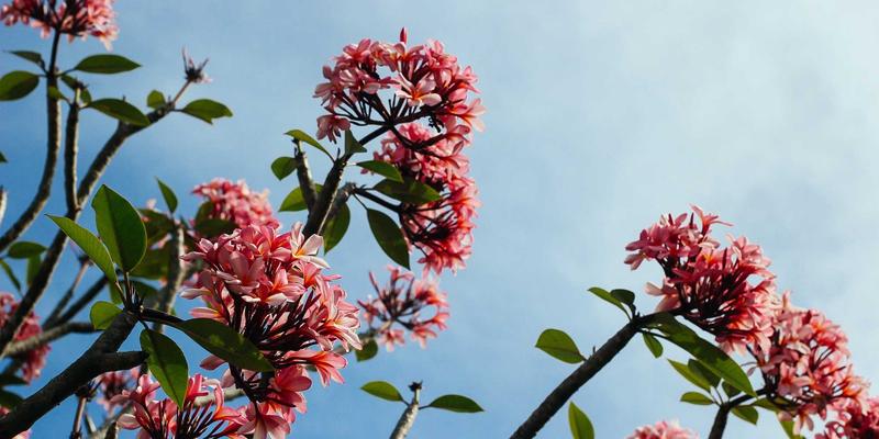 西安公共卫生间便民地图与升级报告:古城旅游与居民需求如何兼顾?