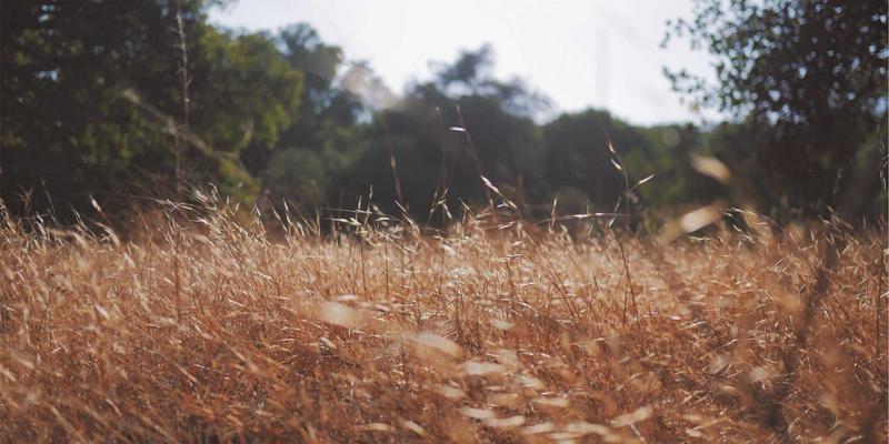 西安双减政策下的社区托管便民服务现状:学校、社区与社会力量如何协同破局?