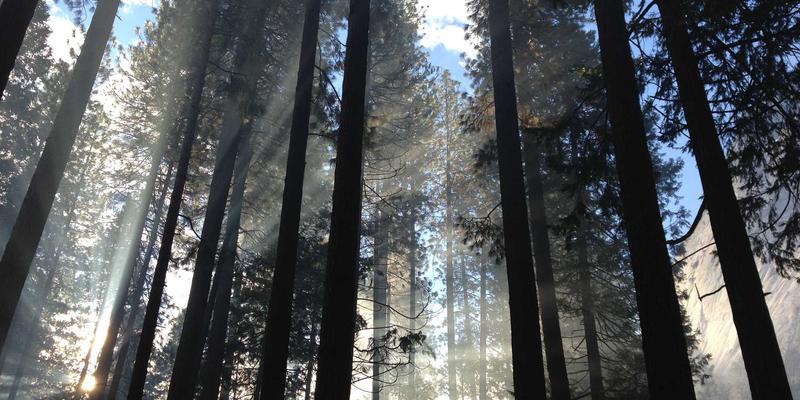 西安新市民生活指南：落户、租房、交通一站式解决方案 | 西安新网