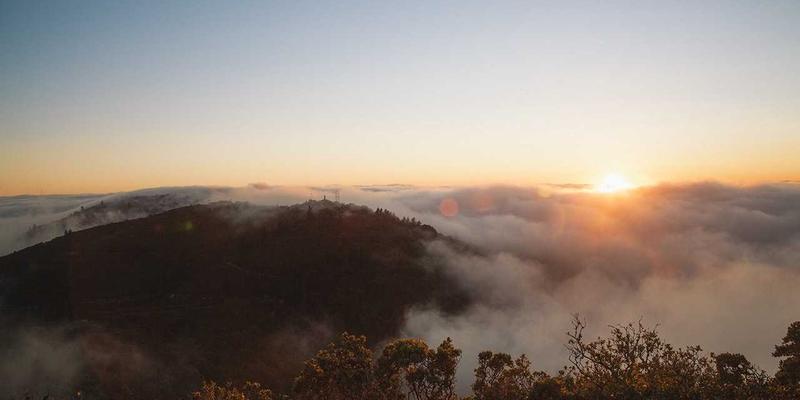 西安社区团购深度调查：本土农产品直供模式如何重塑市民菜篮子？