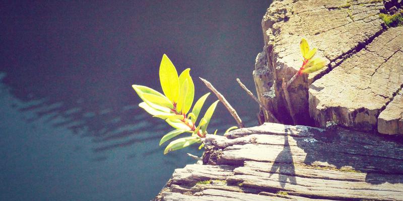 西安节假日便民服务保障机制观察：春节、国庆大考下的城市韧性运行