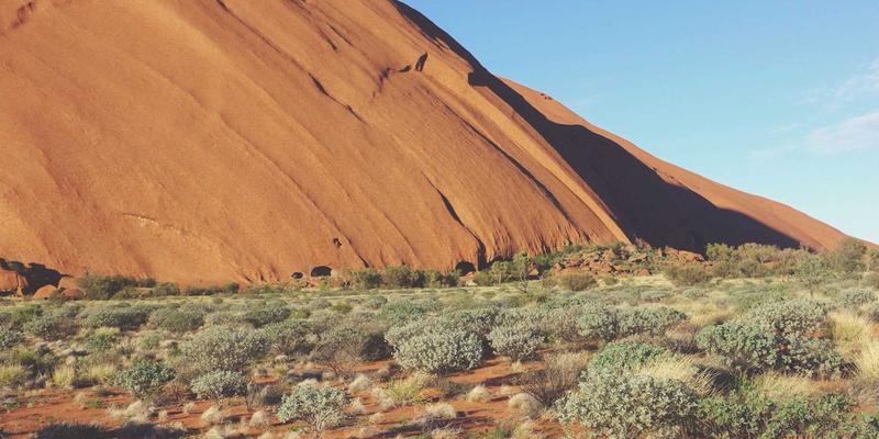 跨越西安便民服务中的“银发数字鸿沟”：社区培训与适老化改造的实践探索